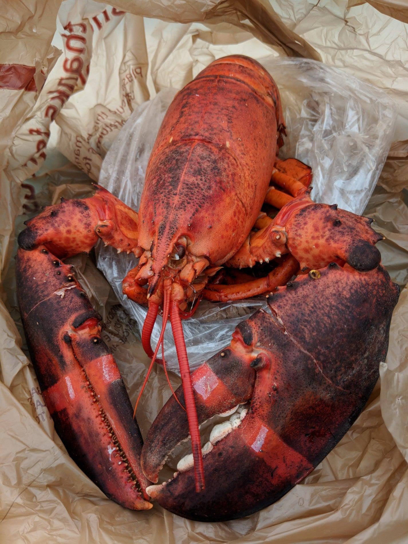 Sunrise Seafoods ltd