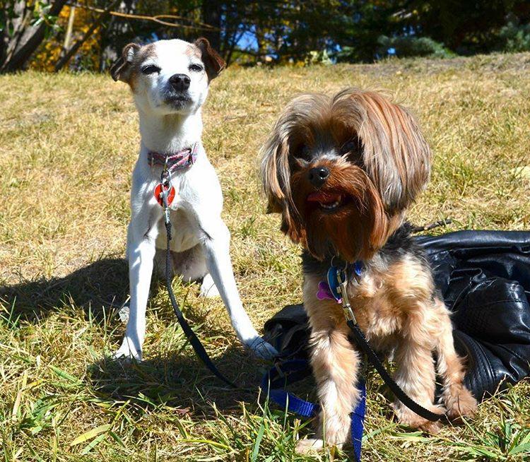 Gateway Garrison Green