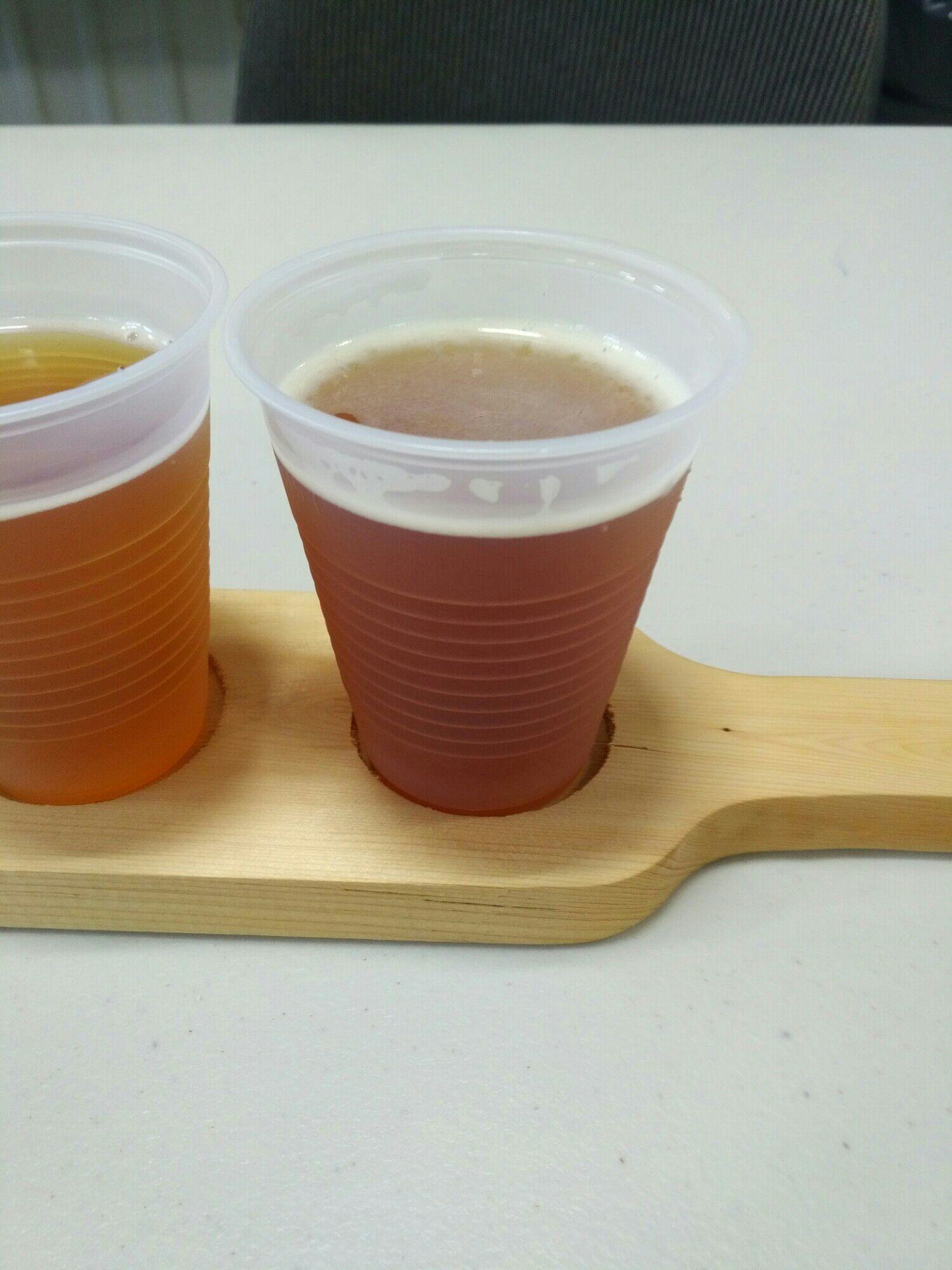 Natterjack Brewing Company Ltd