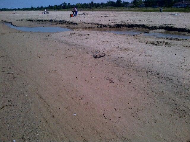 Sauble Plover Protected Area