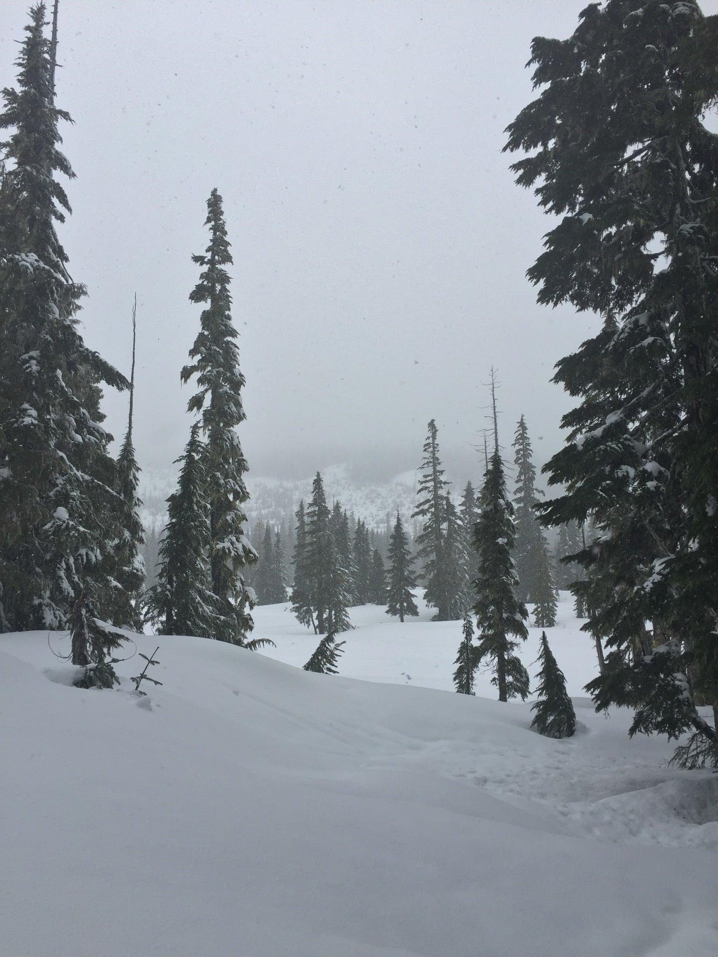 Vancouver Island Mountain Centre