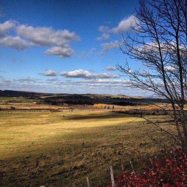 Cornhill Nursery Ltd