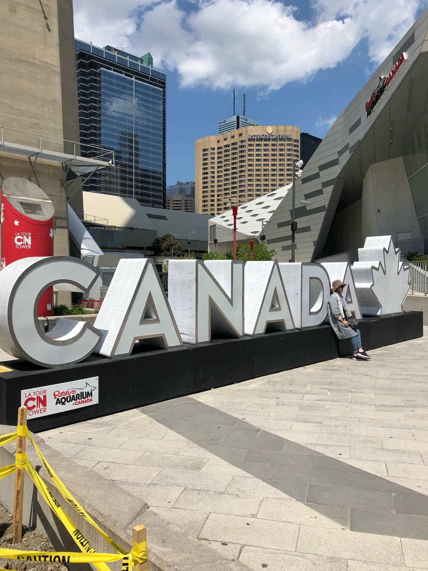 Ten york parking&service