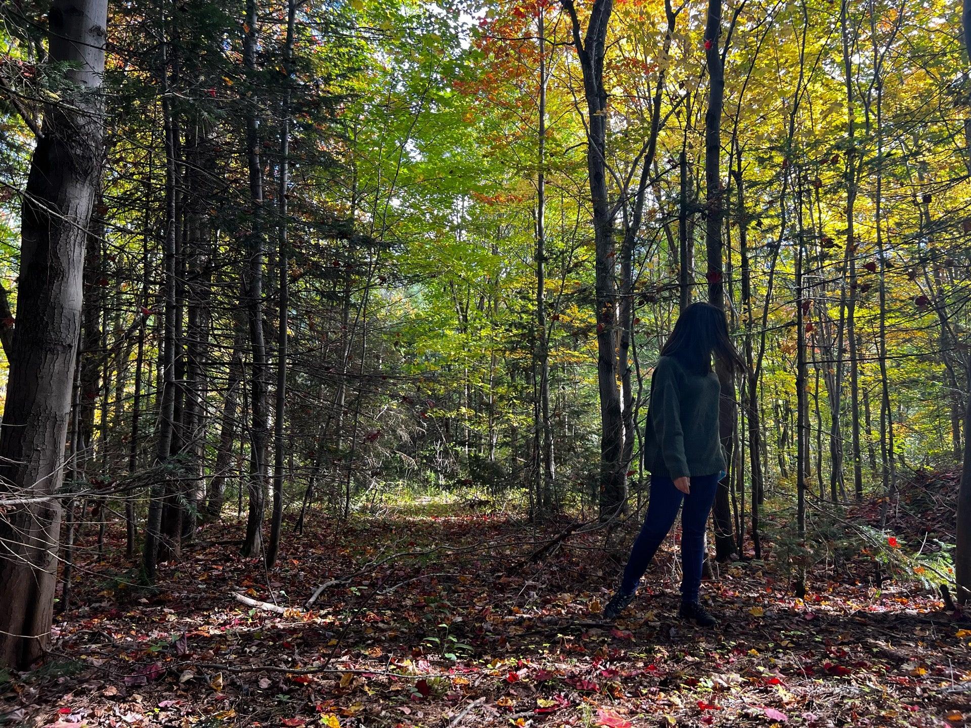 Garderie la Mini-Jungle 2015