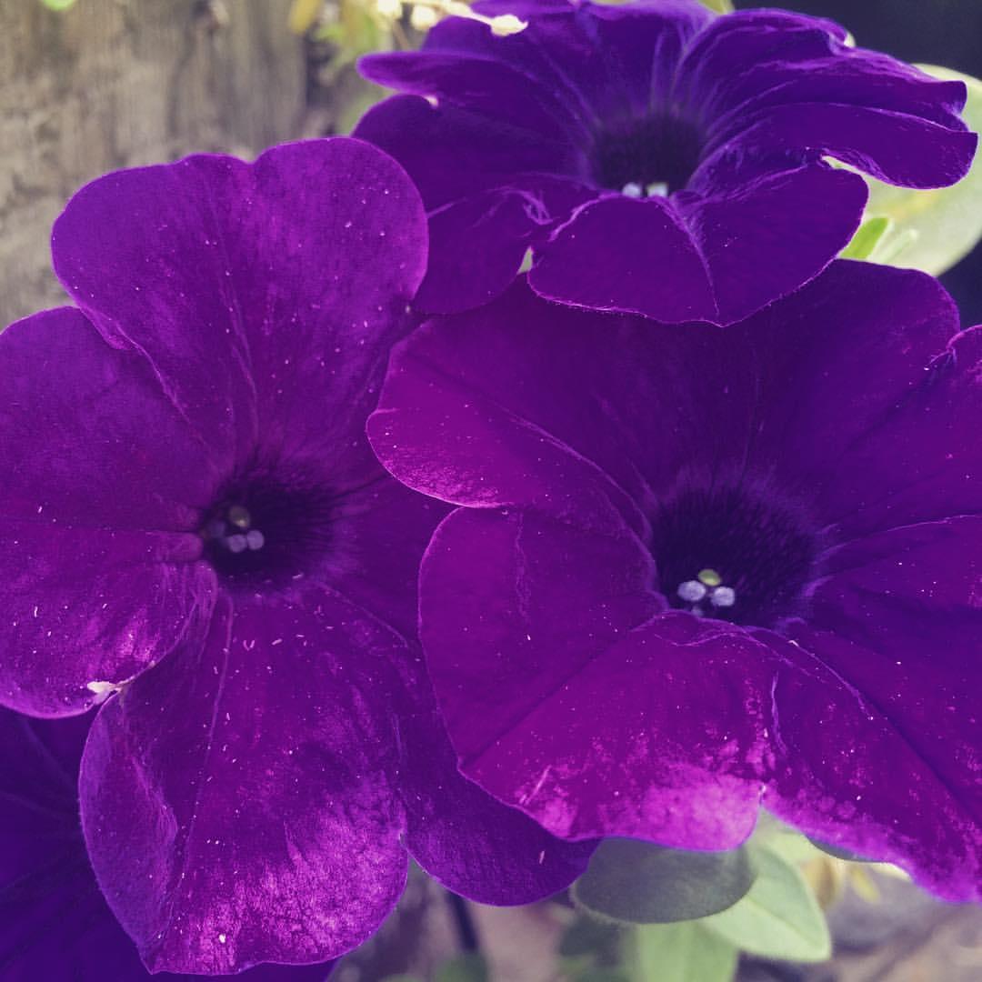 Coastal Community Credit Union