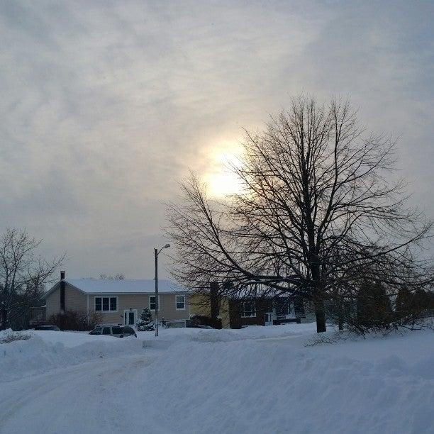 Canadian Blood Services