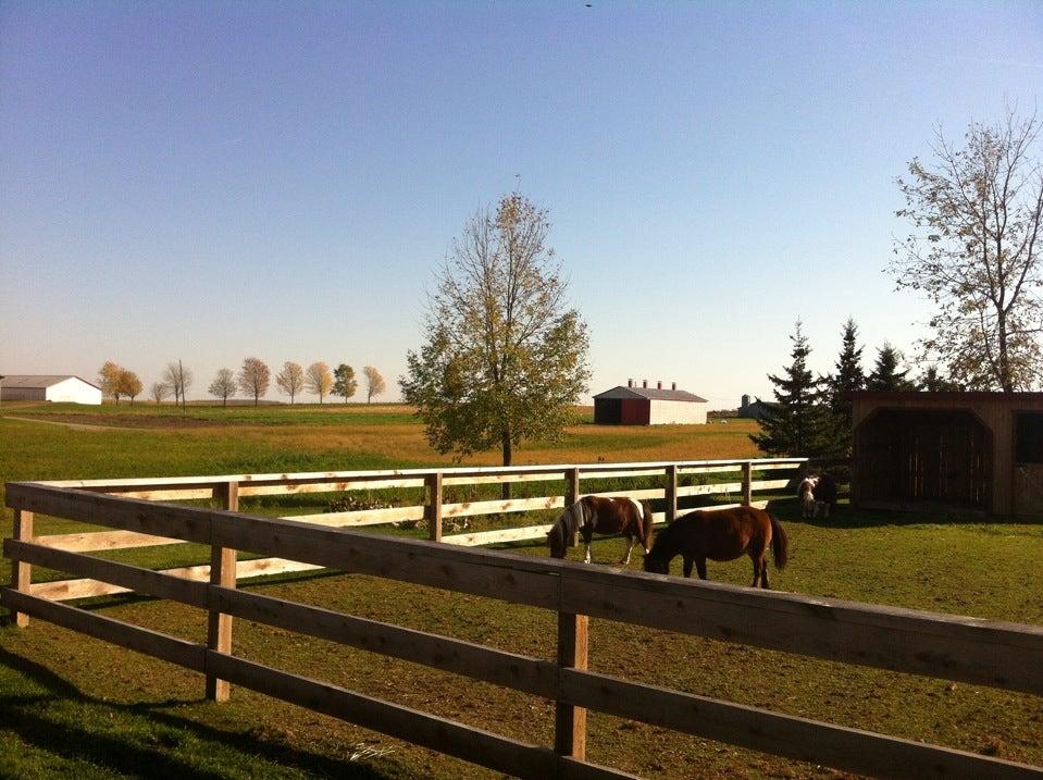 Les Volailles d'Angèle Inc