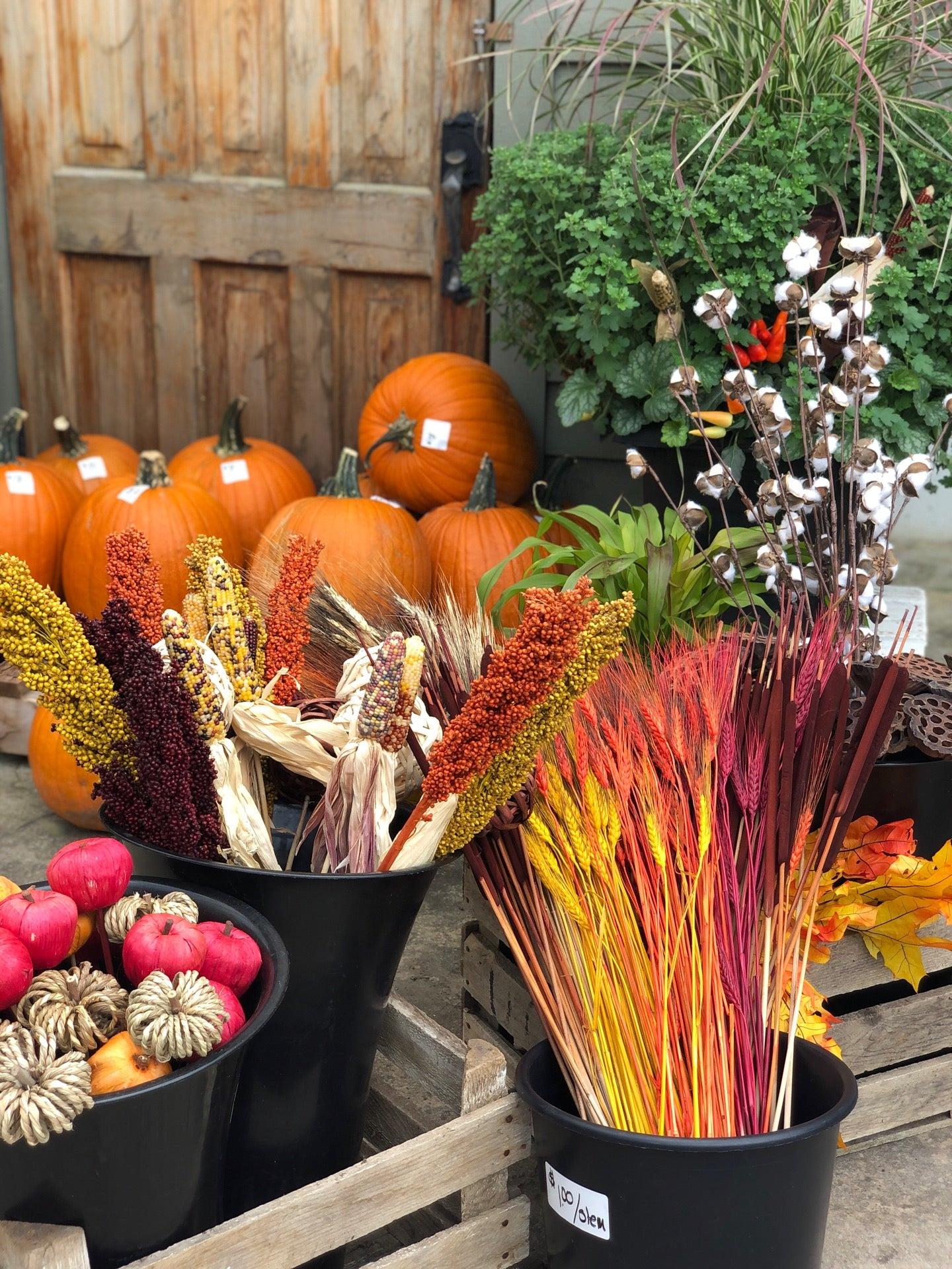 Sun Harvest Greenhouses