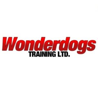 The Wonderdogs