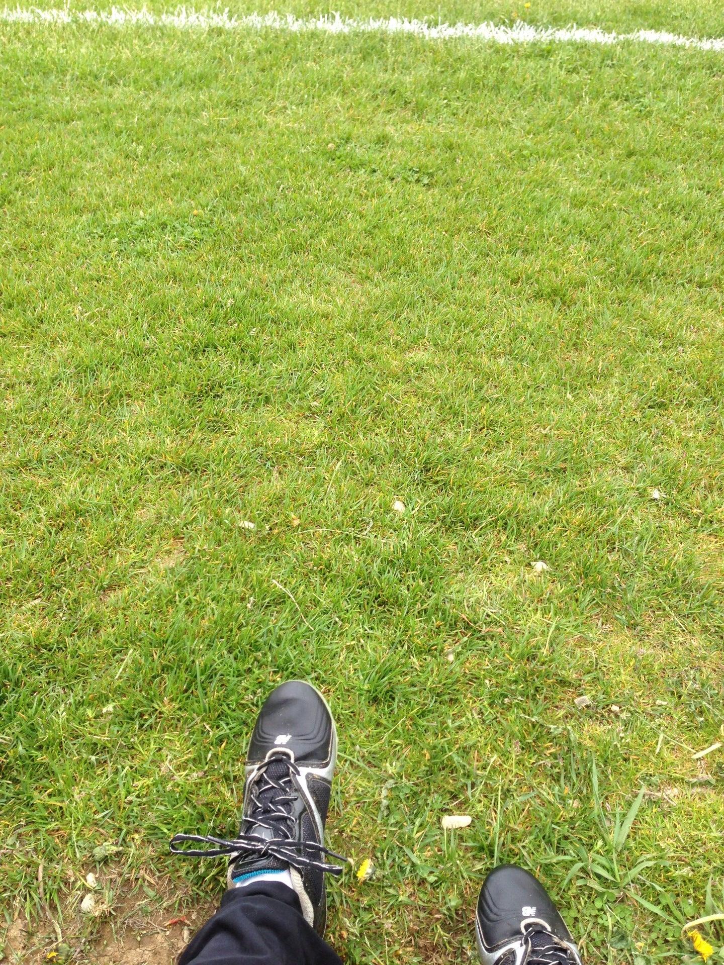 Kitty Gaul Brook Park