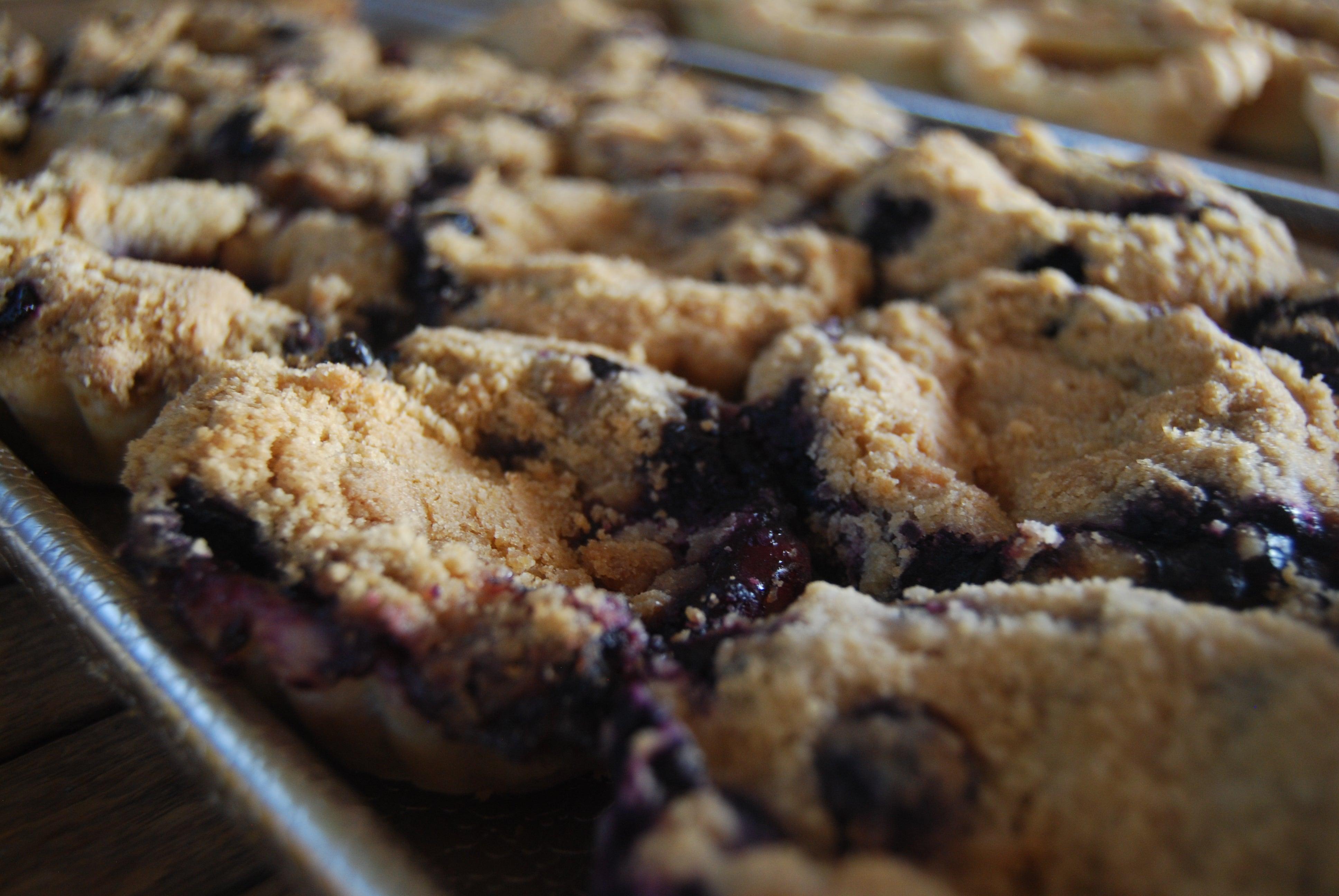 Blueberry Hill Estates