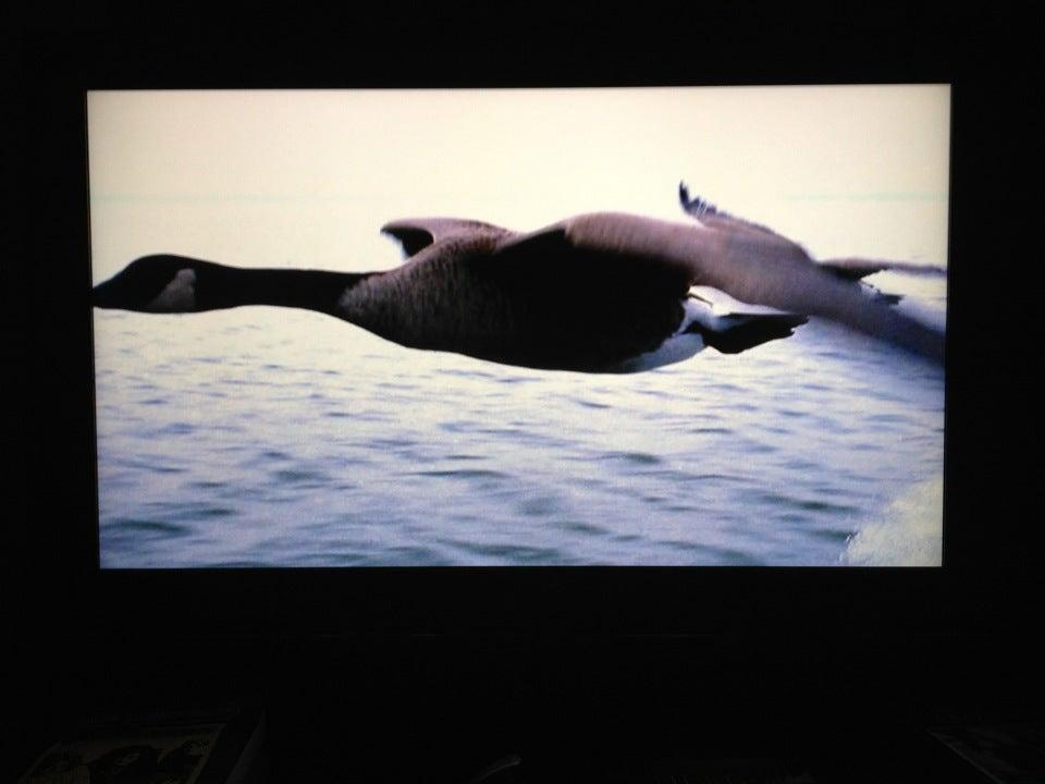 Don Valley Auto Centre