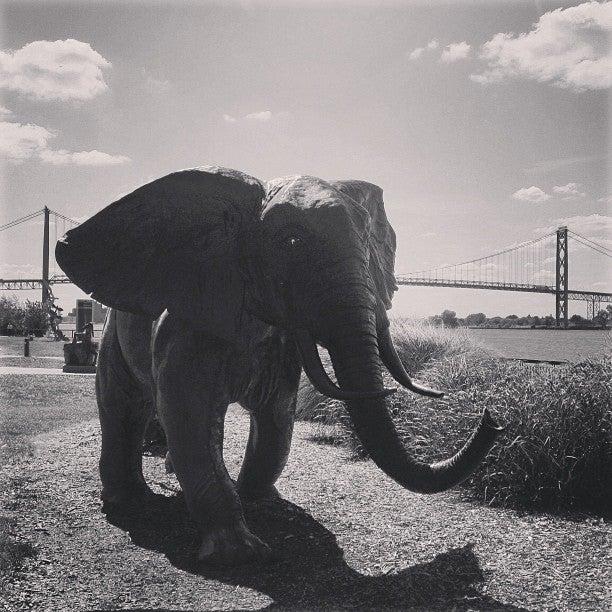 Odette Sculpture Park