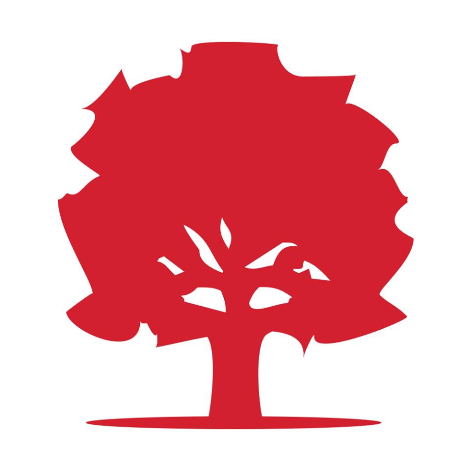 Drury Lane Physiotherapy & Rehab