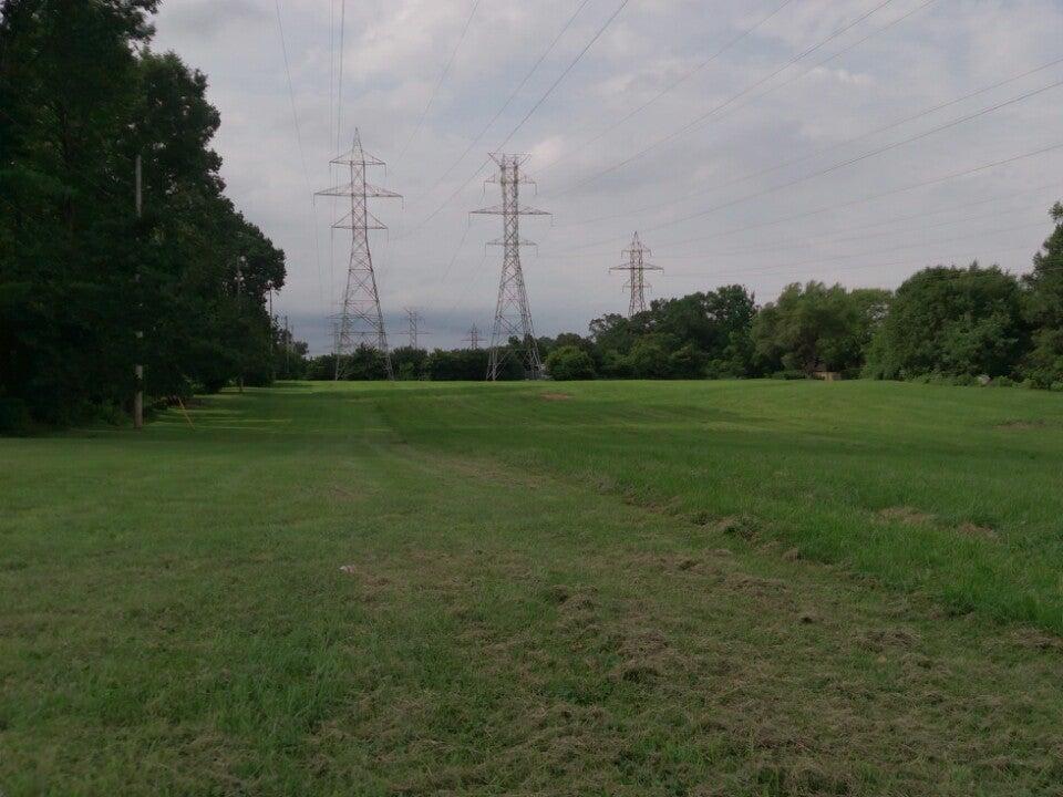 The Electrical Field