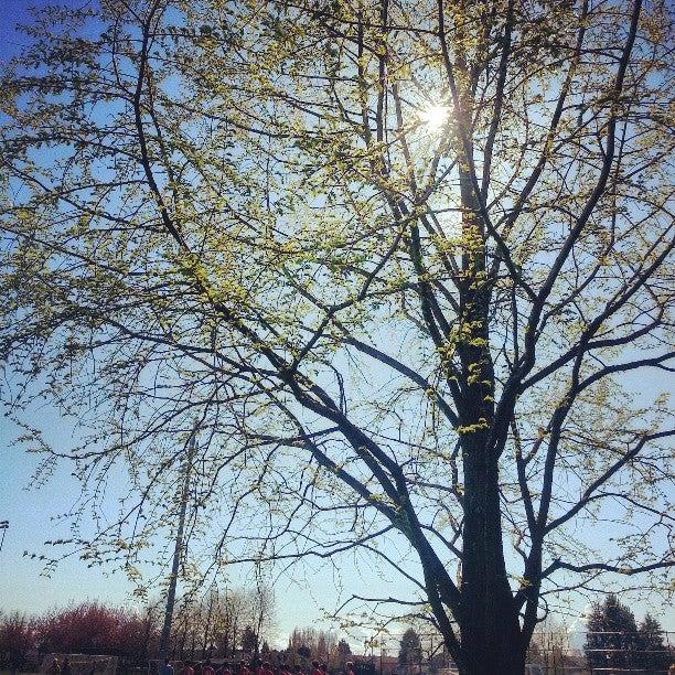 West Richmond Community Centre