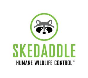 Skedaddle Humane Wildlife Control