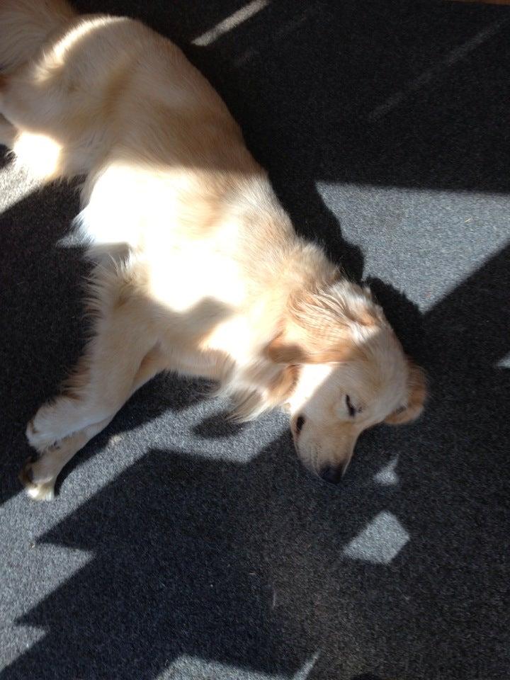 Clear Case Computers