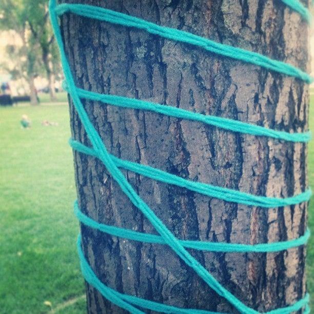 Regina Folk Festival