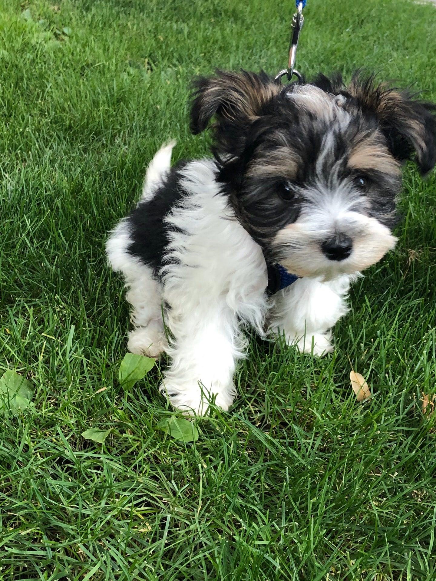 Greenhouse Juice Co.