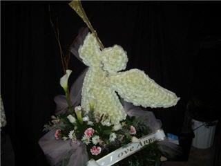 Jules D'alcantara Gardenia