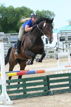 Grand Oak Meadow Stables