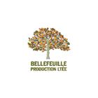 Bellefeuille Production Ltee