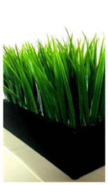 Massothérapie Nancy Martel