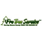 Pro Tree Service