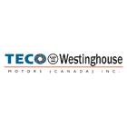 TECO-Westinghouse Motors Inc
