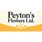 Peytons Flowers Ltd