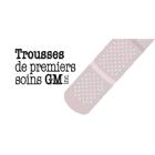 Premiers Soins GM Inc