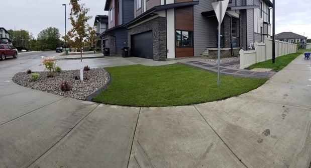 TDG Curb & Landscape