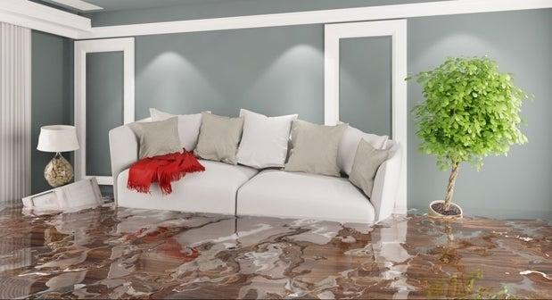 Lakeshore Carpet Cleaners