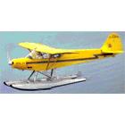 Dan Lee Process Service