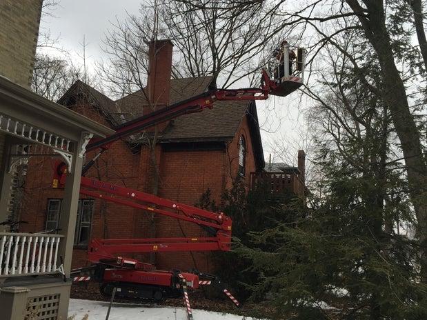 St Catharines Tree Service