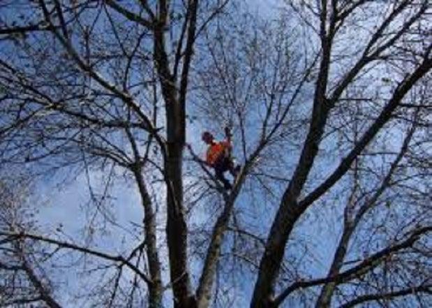 Paysagement C Bernier