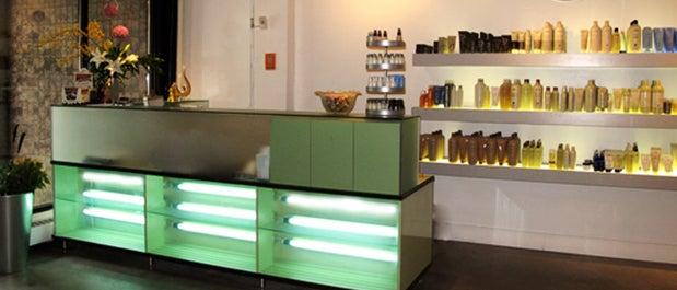 The Ginger Group Hair