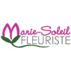 Fleuriste Marie-Soleil