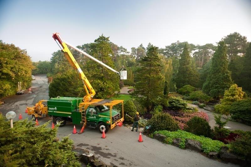 The Davey Tree Expert Company