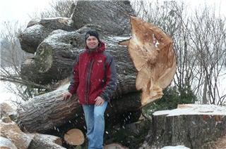 Arboriculture Carrier