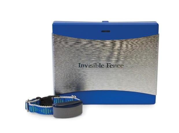 Invisible Fence Brand Golden