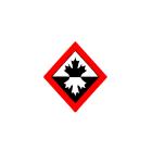 Classical Martial Arts and Personal Training Centre - Tora Tengu Dojo