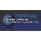 Arpenteur Geometre Grutman