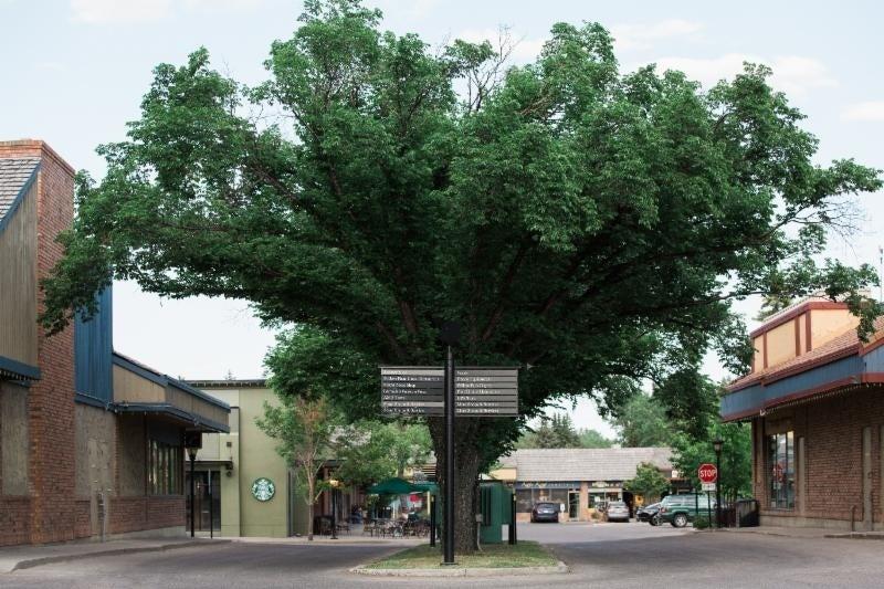 Willow Park Village Shopping Centre