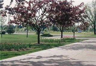 Matheson Landscaping Services Ltd