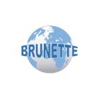 Arthur L Brunette & Associes