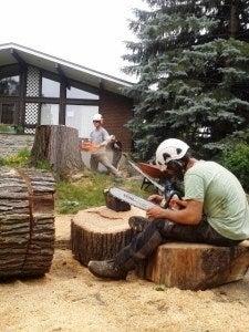 Arborescence Rive-Sud