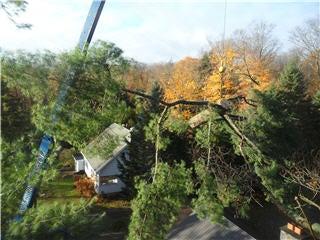 Bark Ridge Tree Service