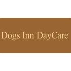 Dogs Inn Daycare